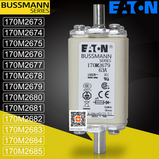 170M2677 BUSSMANN保险170M2673 2676 2674 2678熔断器 170M2675