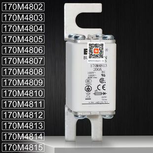 巴斯曼170M4809 4810 170M4811 4812 170M4813 4814 4815熔断器