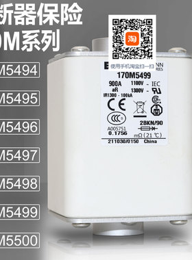 巴斯曼170M5494 5495 170M5496 5497 170M5498 5499 5500熔断器