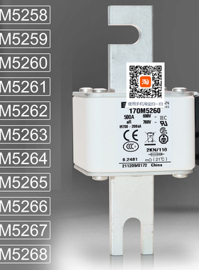 BUSSMANN保险170M5263 5264 170M5265 5266 170M5267 5268熔断器