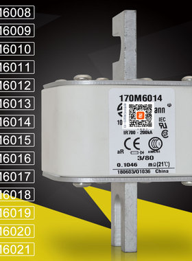 巴斯曼170M6008 6009 170M6010 6011 6012 170M6013 6014熔断器