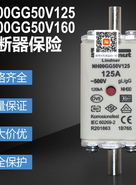 熔芯保险NH00GG50V125 NH00GG50V125熔断器250V 500V