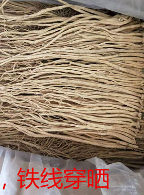 甘肃全干好500G无硫包邮当参