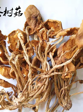 普通茶树菇散装1斤500g开伞菌菇小吃老鸭汤配料农副产品称斤包邮