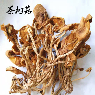 普通茶树菇散装1斤500g开伞菌菇小吃老鸭汤配料农副产品称斤包邮