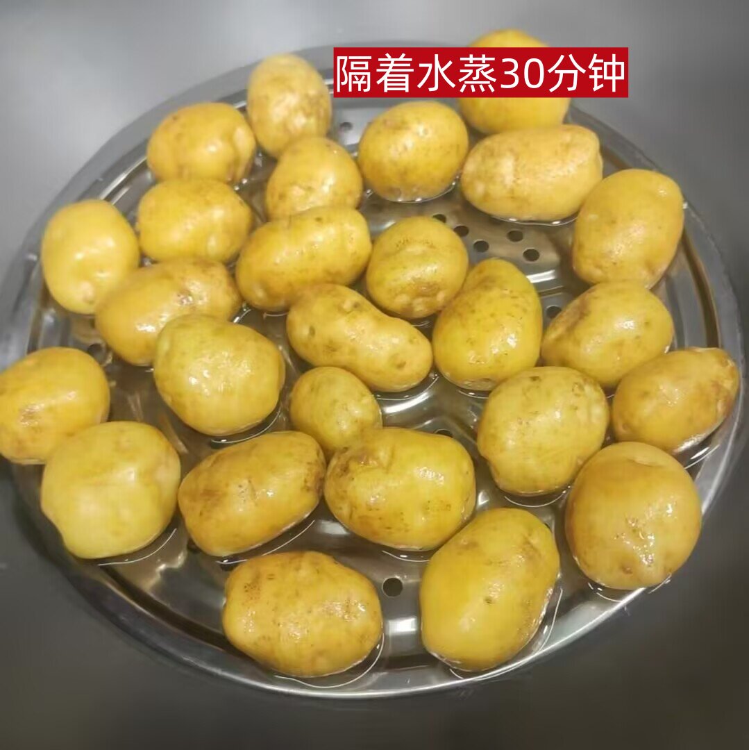 闽北高山区农家种植土豆政和马玲薯二五区土豆饼芋子非转基因5斤