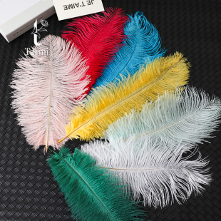 苔米网红花束装饰用品鸵鸟羽毛花艺鲜花包装材料花店包花白色羽毛