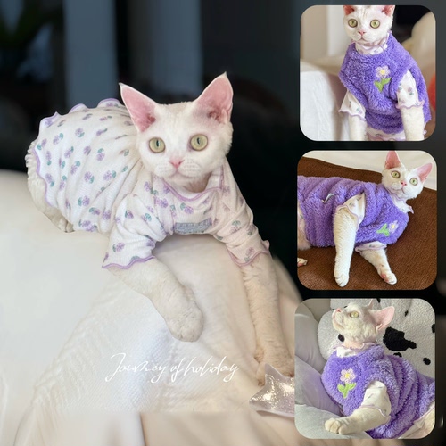 Y·H 太美啦～小fafa暖冬毛绒绒加厚保暖斯芬克斯无毛猫衣服德文
