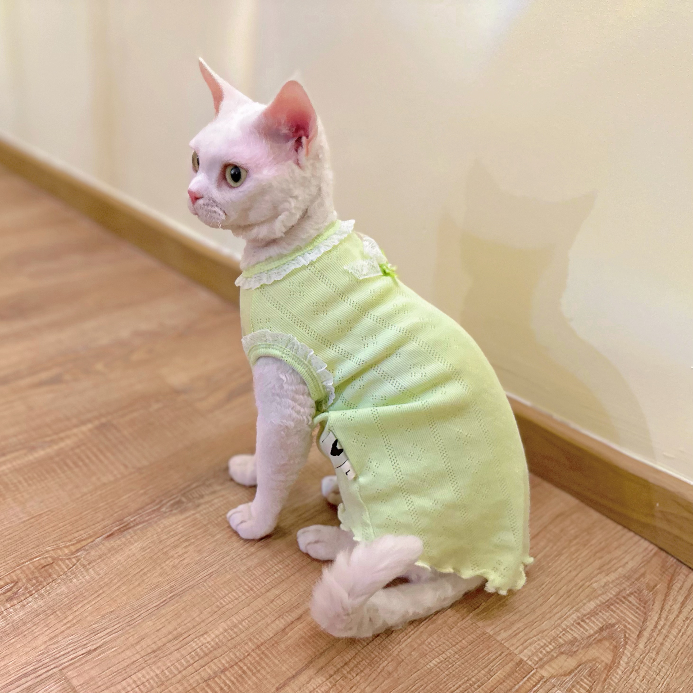 Y·H 夏日小清新  网眼透气夏天薄款无袖斯芬克斯无毛猫衣服德文