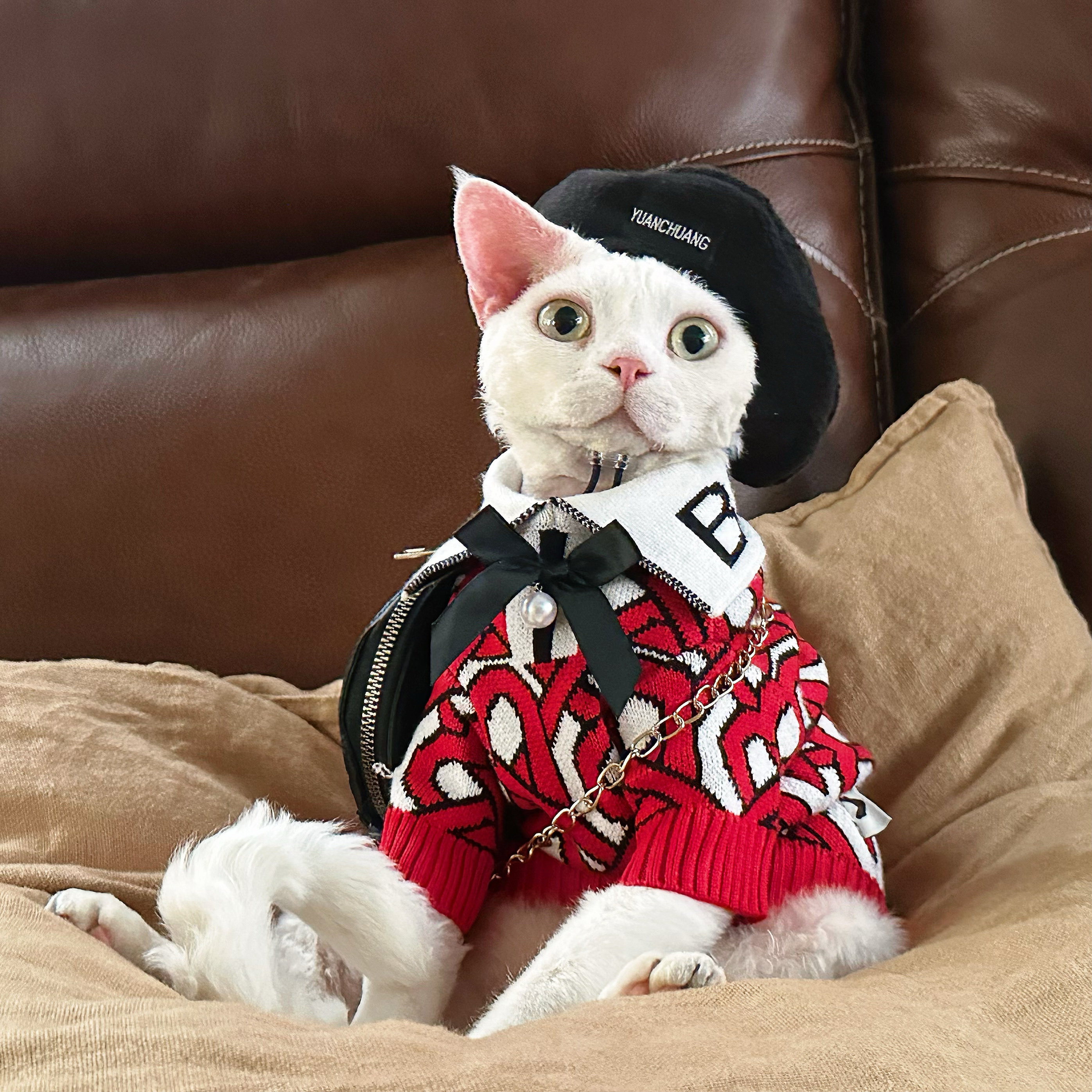 Y·H 新年芭莎女孩 保暖毛衣斯芬克斯无毛猫衣服德文冬天加厚永禾