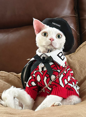 Y·H 新年芭莎女孩 保暖毛衣斯芬克斯无毛猫衣服德文冬天加厚永禾