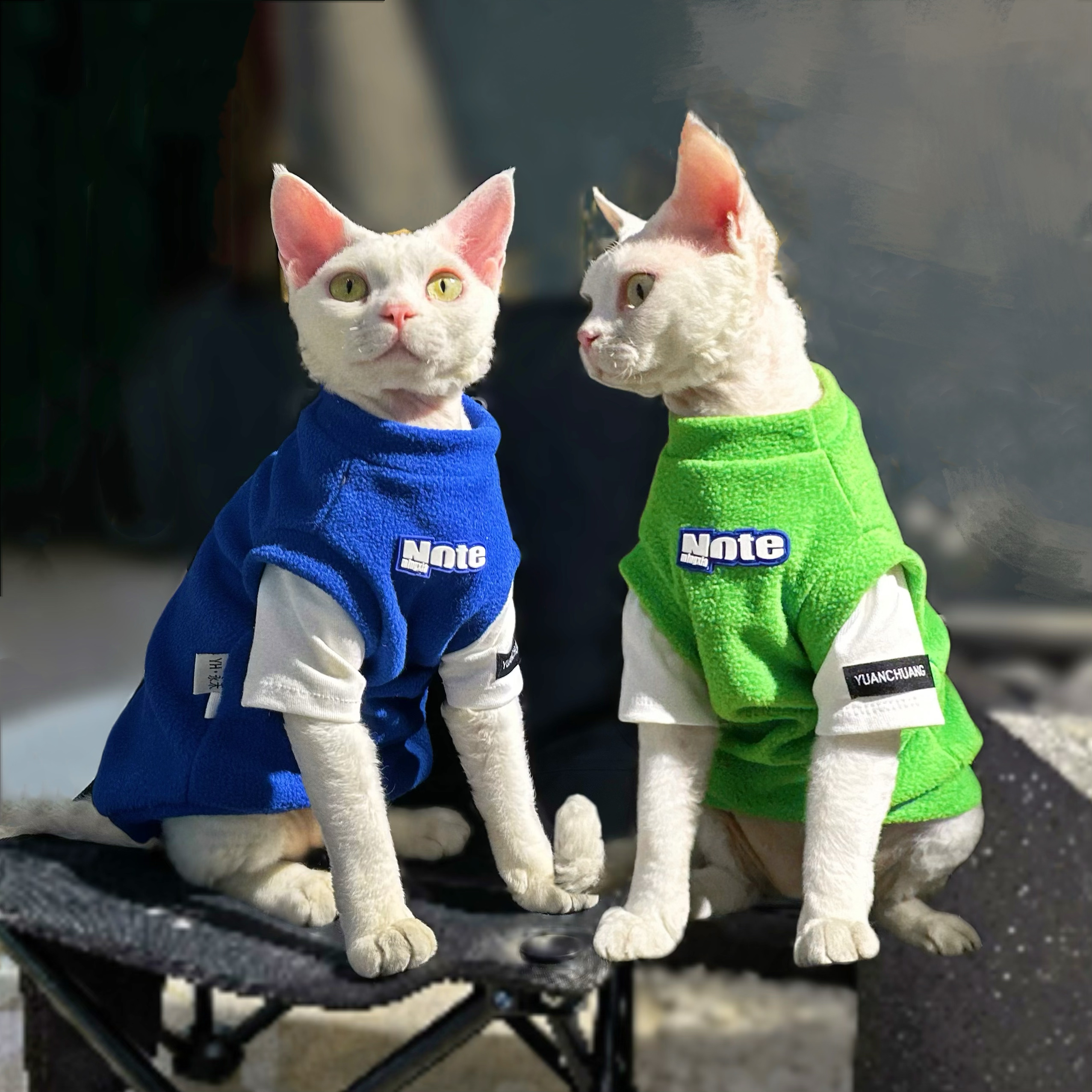Y·H 搭配不费力 假两件摇粒绒 斯芬无毛猫衣服德文冬天保暖加厚