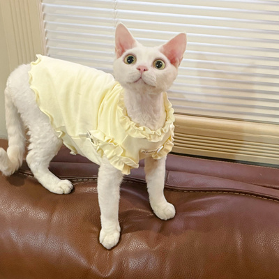 Y·H 撩人小泡芙～夏季薄款斯芬克斯无毛猫衣服德文