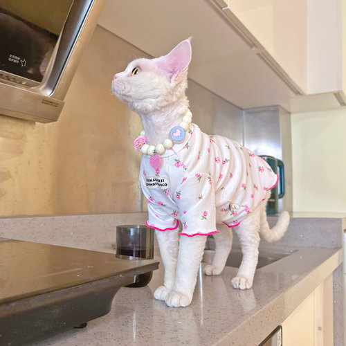 薄款无毛猫衣服空调服