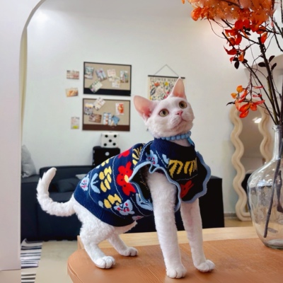 Y·H  艺术气息复古花花  背心毛衣德文猫无毛猫衣服冬天保暖加厚