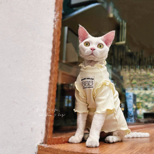 无毛猫衣服永禾婴儿棉柔内搭