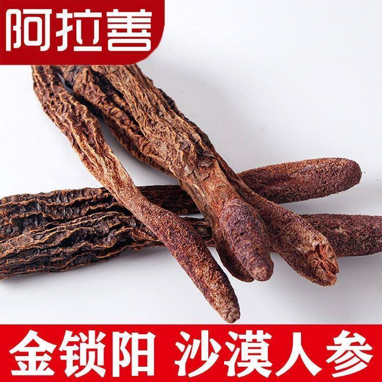锁阳 阿拉善野外生长锁阳整个正品锁阳泡茶泡酒料沙漠锁阳批发