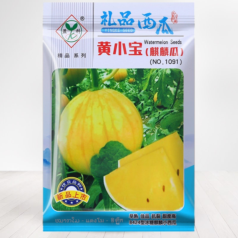 四季室外盆栽黄皮黄肉西瓜种子黄色薄皮黄心黄瓢迷你甜西瓜籽大全