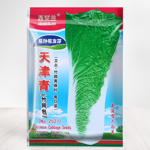 农家老品种春秋天津青绿麻叶种子大全长大白菜种孑蔬菜菜种籽播种