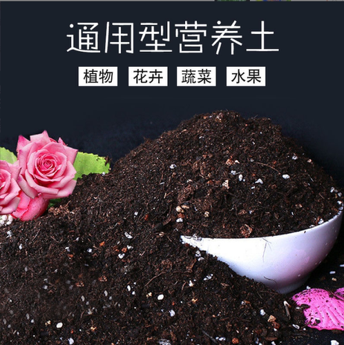 多肉营养土种植土通用型