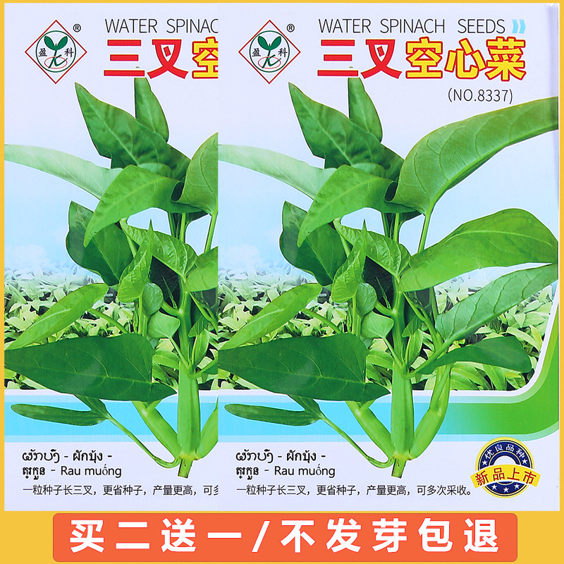 四季竹叶柳叶白梗三叉空心菜种籽大全蔬菜种子春秋季盆栽速生青菜,鲜花速递/花卉仿真/绿植园艺,家庭园艺种子,淘宝优惠券,粉丝福利购,淘宝优惠卷