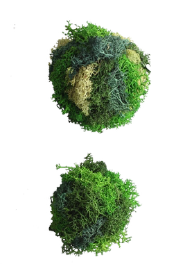 森系绿色永生苔藓球装饰球拍摄背景道具桌面摆件家居样板房搭配