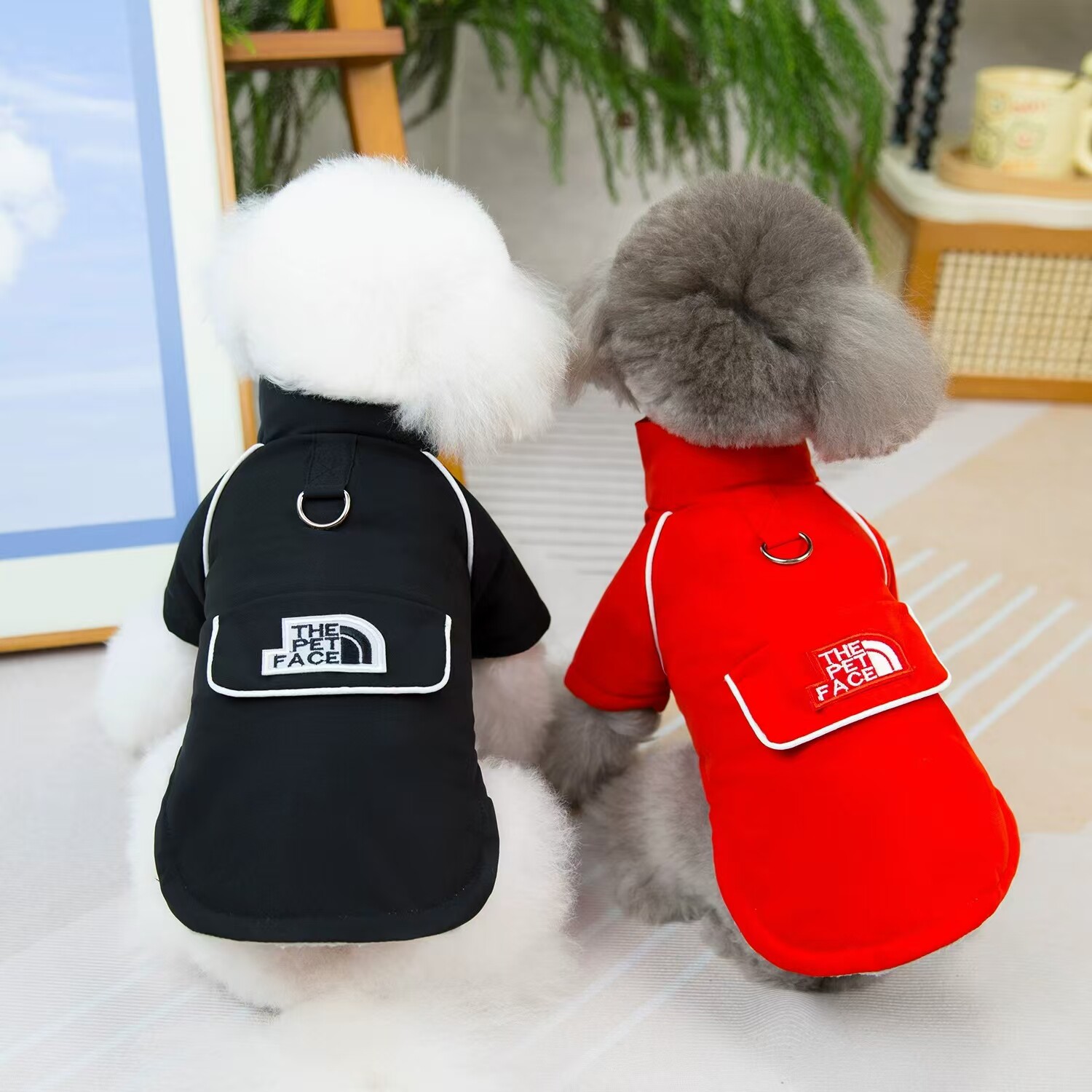 狗狗衣服宠物服装小型犬猫咪可穿秋冬保暖舒适卫衣运动风外套加绒