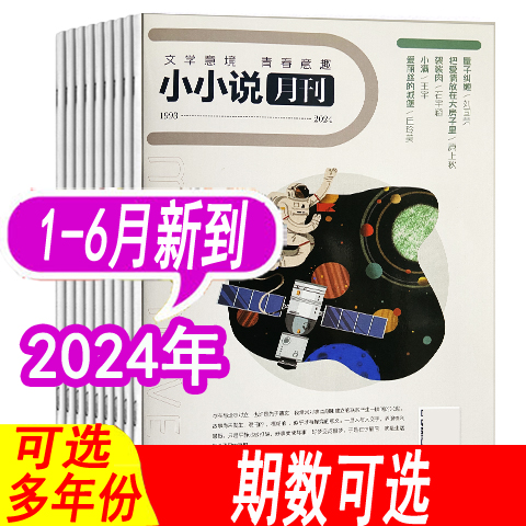 【套餐可选】小小说月刊杂志文学版2024年1/2/3/4/5/6月/2023年/2022年/2021年等可选 小说故事过期刊 非民间故事选刊小小说选刊 书籍/杂志/报纸 期刊杂志 原图主图