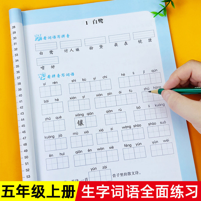 看拼音写词语五年级上册教材同步训练生字组词汉字加拼音笔画笔顺语文