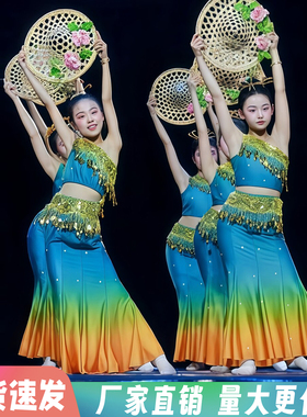 傣族舞蹈儿童演出服孔雀舞艺考练功裙雨竹林春风彩云之南鱼尾民族