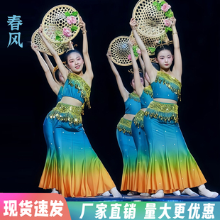 傣族舞蹈儿童演出服孔雀舞艺考练功裙雨竹林春风彩云之南鱼尾民族