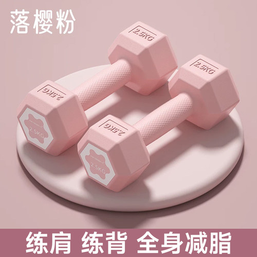 哑铃女士健身家用2KG2.5公斤一对