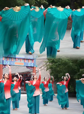 广场舞扇子加长舞蹈扇子长飘真丝跳舞专用演出道具只留清香春来报