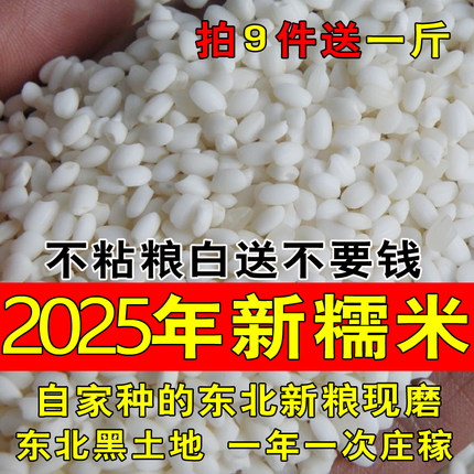 2025年新米东北糯米江米粘米圆粒糯米黏大米酿酒糯米包粽子米
