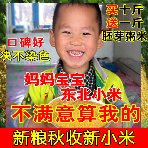 新粮东北黄小米小黄米煮粥米