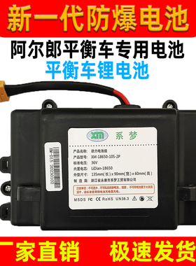 阿尔郎平衡车电池合一36V42V防爆电池安派电动扭扭车通用电瓶组