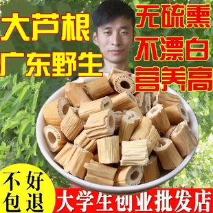 芦根新鲜芦根野生芦苇根卢根正宗新货干芦根芦根茶泡水芦苇根苇茎