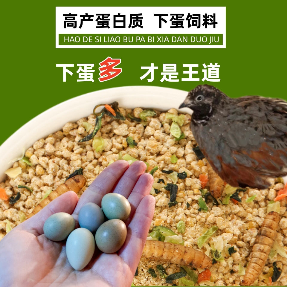 鹌鹑芦丁鸡饲料下蛋饲料高蛋白质