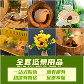 房子仓鼠刺猬鹦鹉造景用品 芦丁鸡窝造景小窝造景套餐小屋卢丁鸡