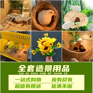 芦丁鸡造景用品鹦鹉鸟仓鼠仿真绿植假花饰品布景卢草窝笼平台房子