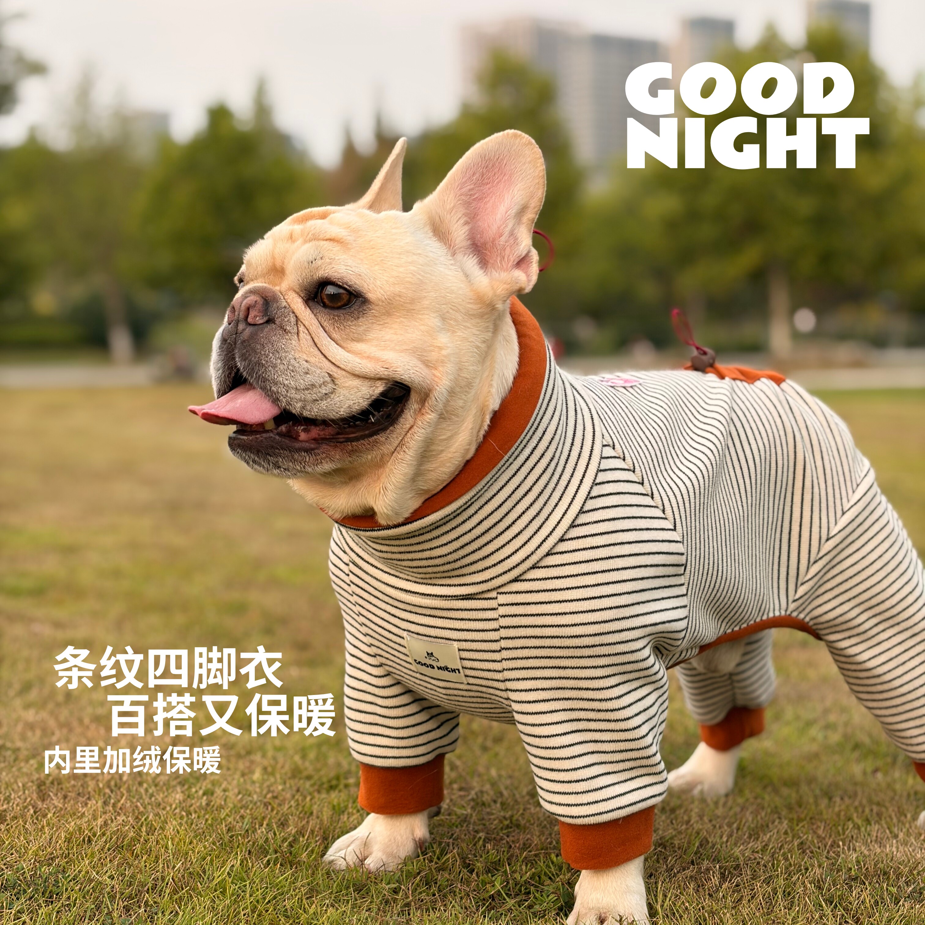 GOOD NIGHT晚安法斗巴哥恶霸柯基秋冬法斗四脚衣狗狗加绒法斗衣服