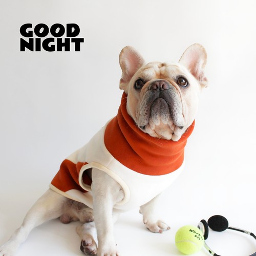 GOODNIGHT晚安法斗巴哥柯基法斗衣服秋冬款狗狗衣服高领加厚卫衣