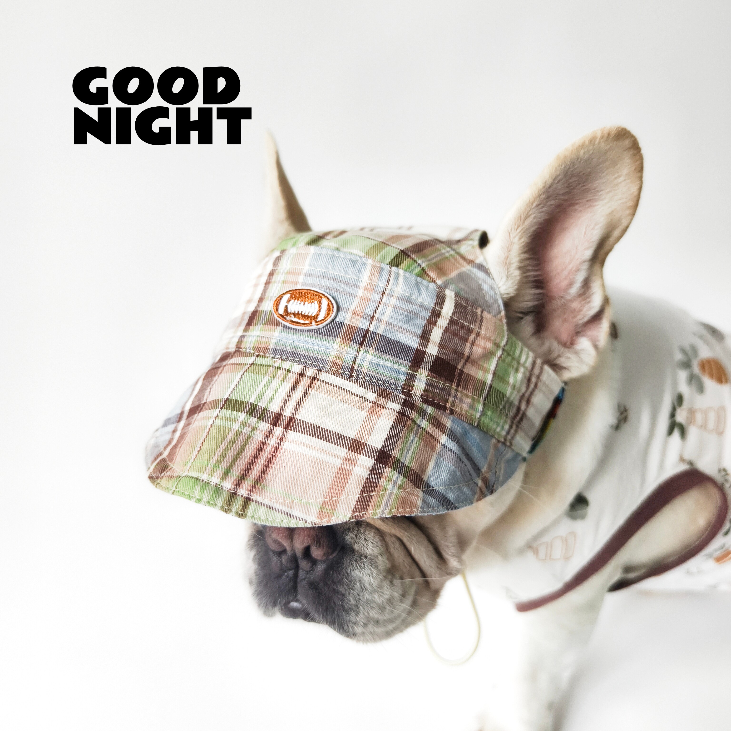 GOODNIGHT晚安法斗巴哥柯基夏季薄款法斗帽子狗狗遮阳帽子