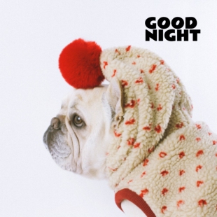 GOODNIGHT晚安法斗巴哥柯基法斗衣服秋冬狗狗衣服保暖新年衣服