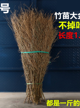 竹枝子扫把竹苗竹叶子竹枝竹子竹条扫把头竹竹子头条装饰摆件手工