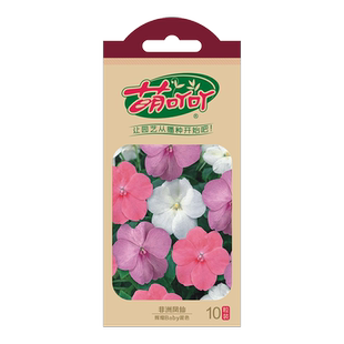 虹越萌吖吖进口草花种籽子矮牵牛花长春花凤仙阳台盆栽庭院春秋播