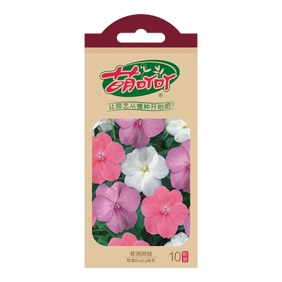 草花种子矮牵牛长春花凤仙易活