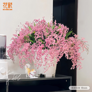 花彩粉色文心兰花苗盆栽带花苞梦香兰有香味室内花阳台好养花期长