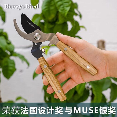 虹越BerryBird园艺森林木柄修枝剪刀园林果树花卉盆景造型专用剪