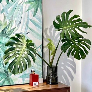 花彩桌面观叶瓶插龟背竹水培植物室内好养金钱树茶几家居绿植摆件